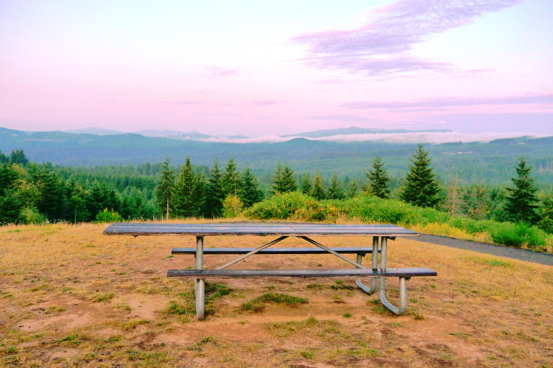 A picnic table on a grassy hill overlooks a vast forest and hazy mountains at dawn.