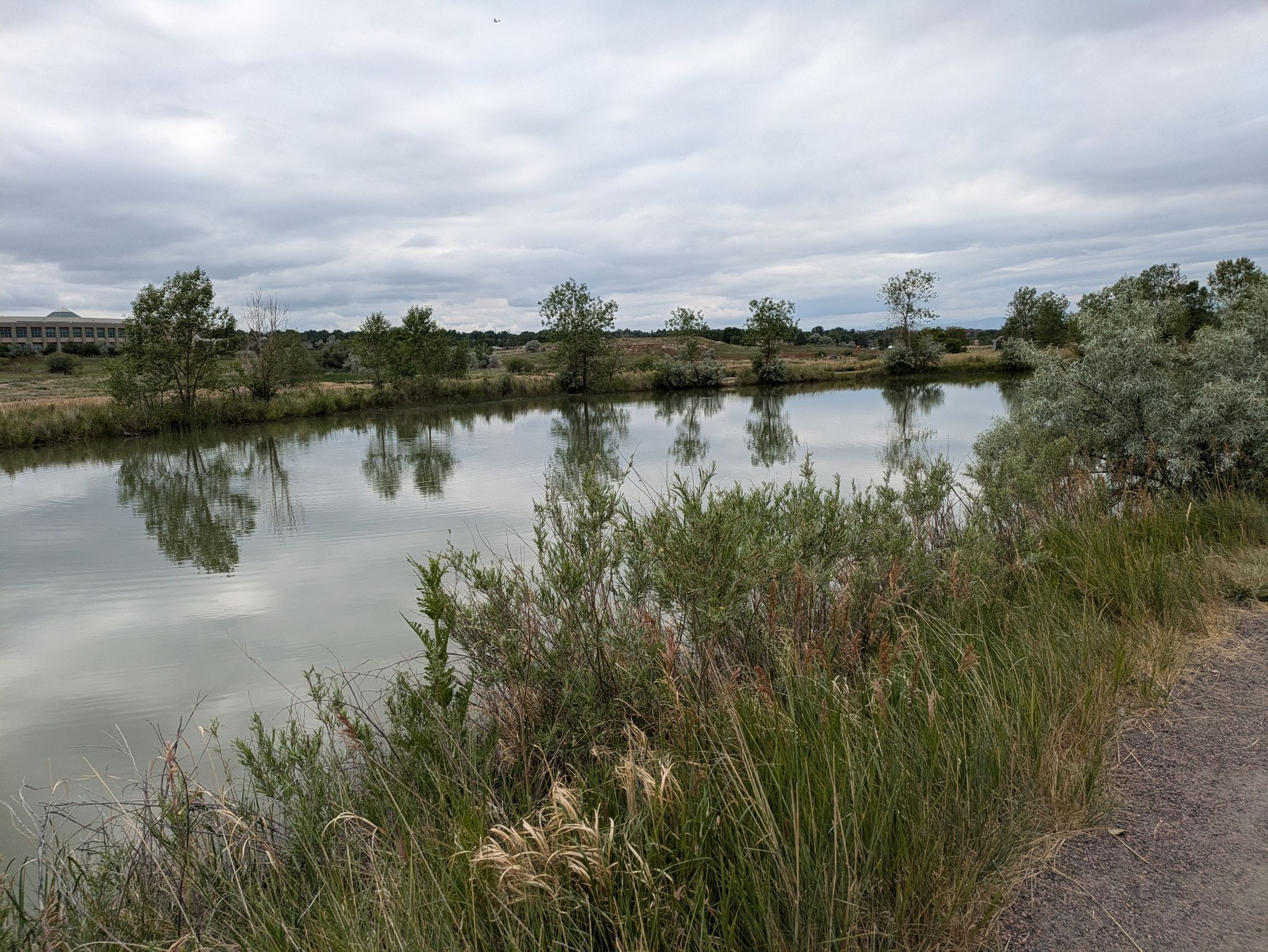 Calm water reflecting trees under an overcast sky, with lush foreground vegetation. - Big Dry Creek Trail
