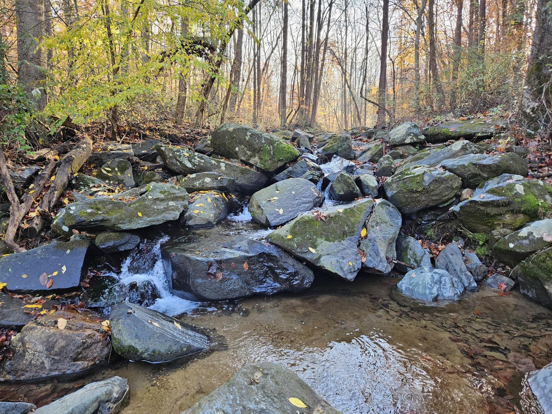Small waterfall cascading over mossy rocks in a sunlit autumn forest stream.