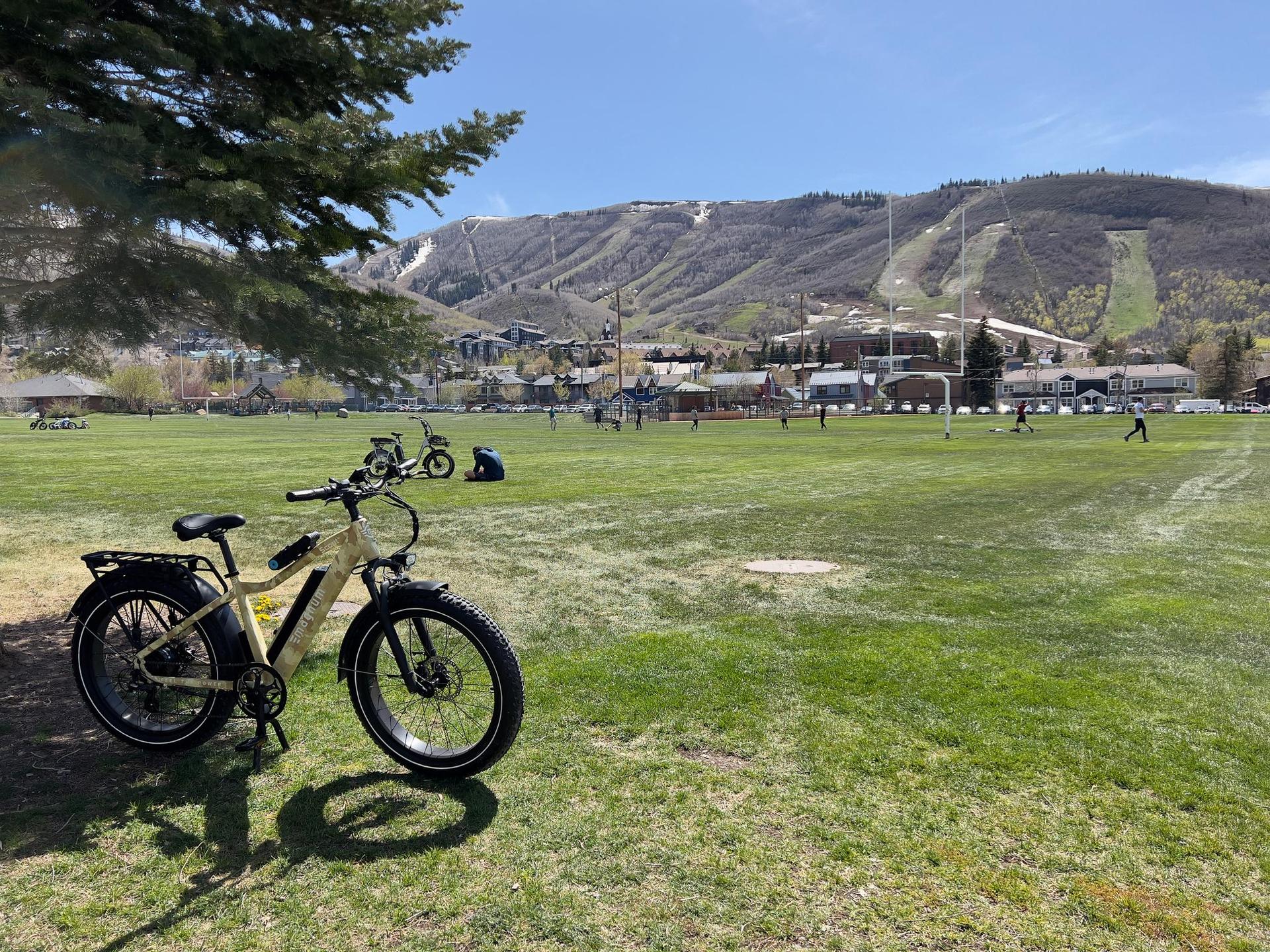 A bicycle rests in a sunny green field with distant mountains and buildings.