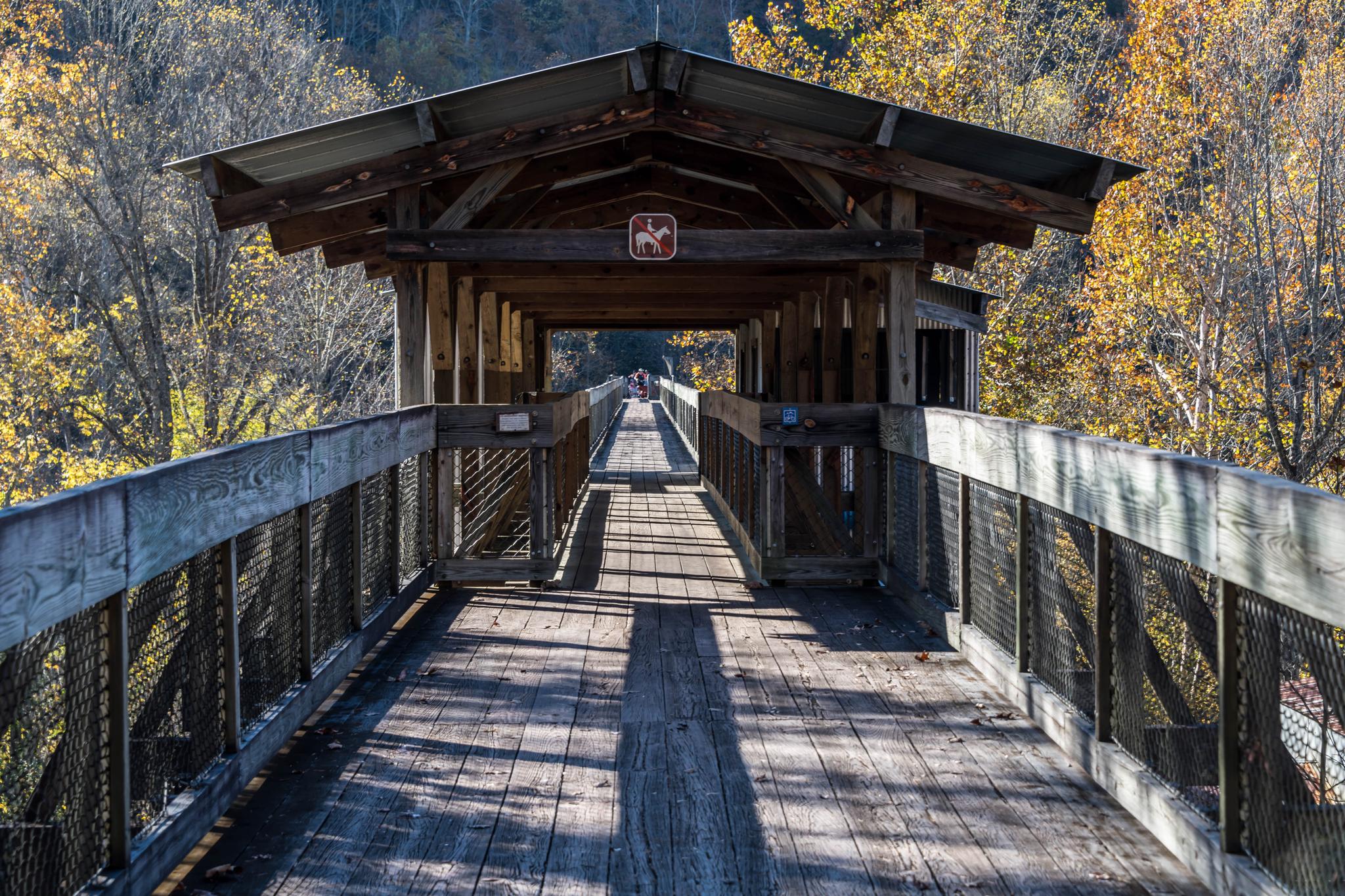 A long wooden covered walkway extends through autumn trees on a sunny day.
