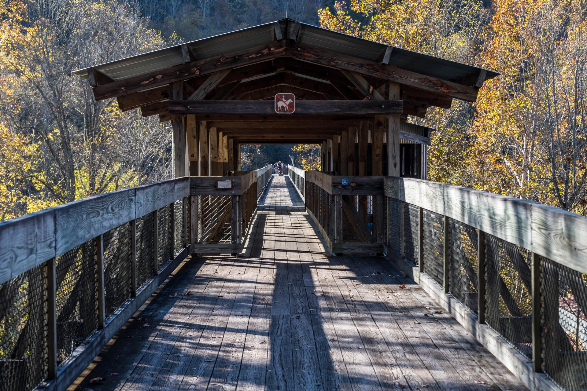A long wooden covered walkway extends through autumn trees on a sunny day.