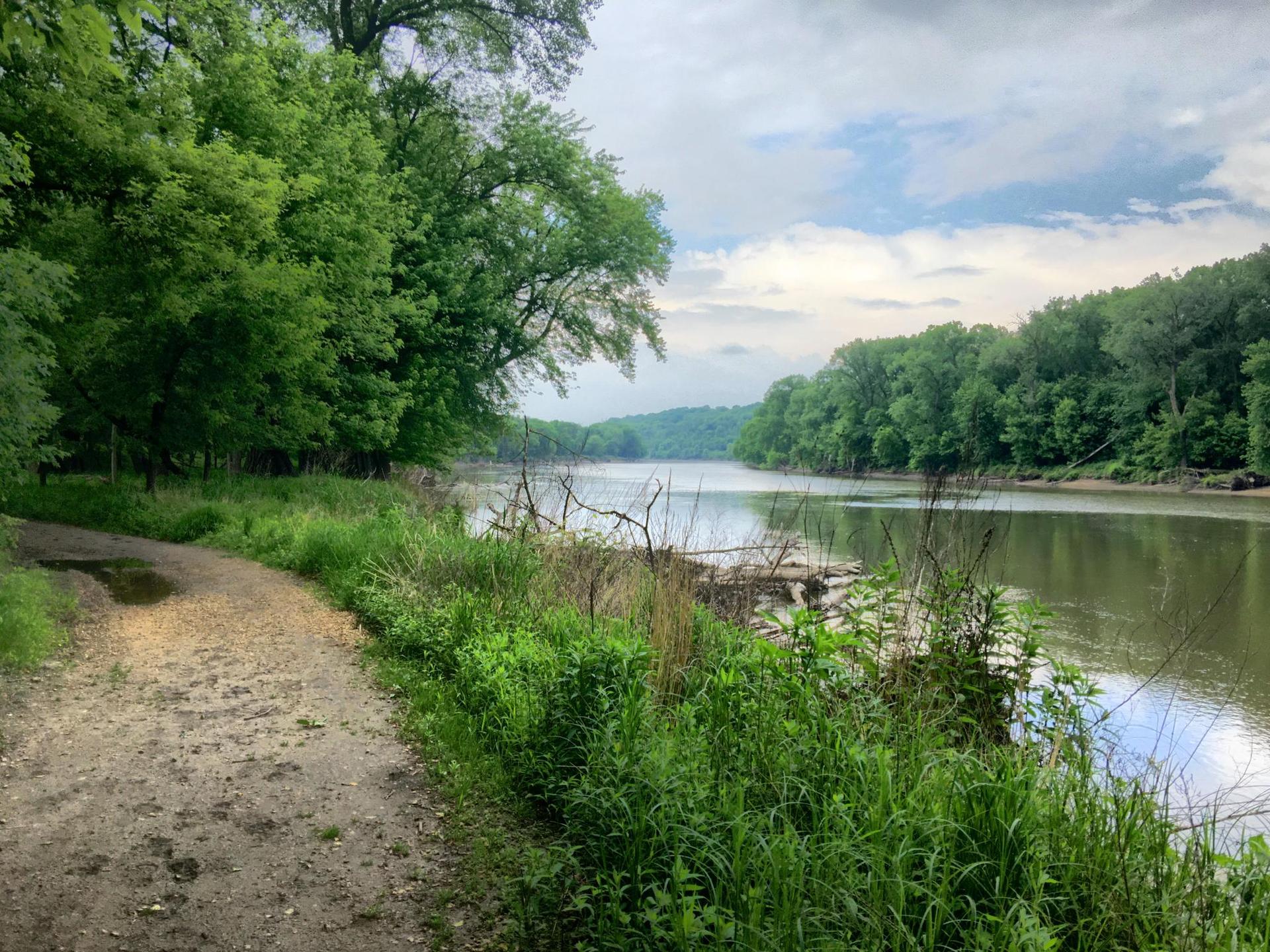 Dirt path beside a calm river, surrounded by dense green foliage.