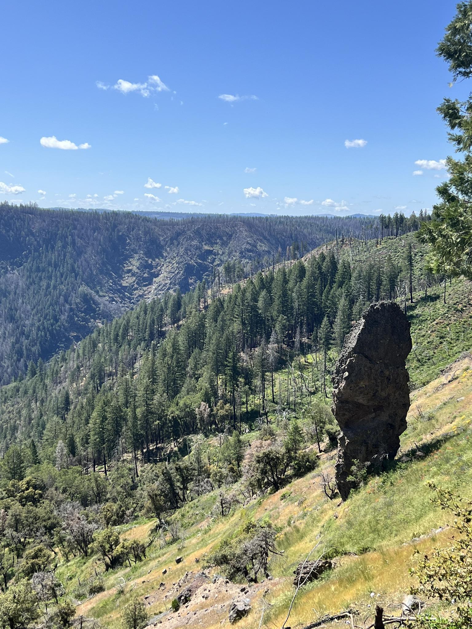 Large rock on a grassy slope overlooking a vast, forested valley under blue sky.