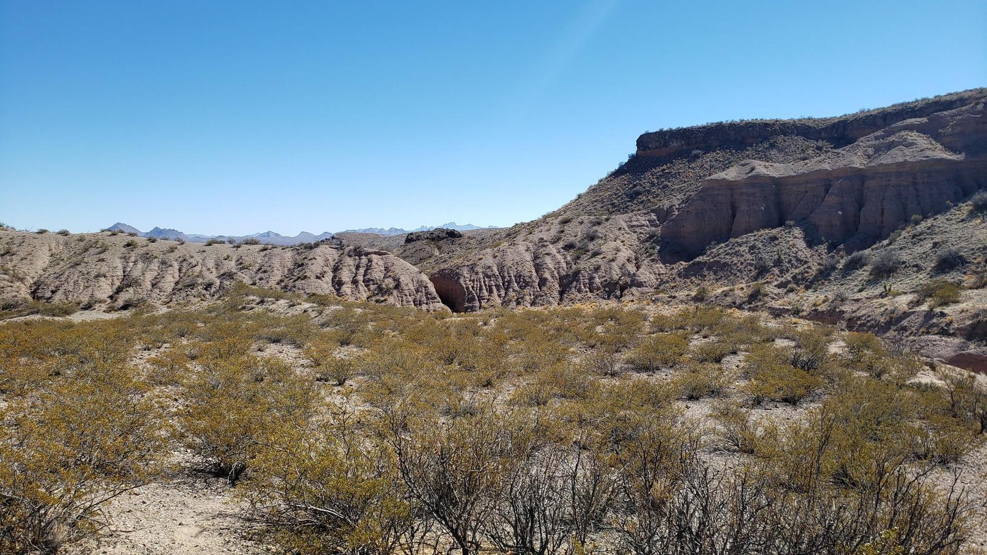 Wide desert wash with scrub brush and eroded rocky hills under clear sky.