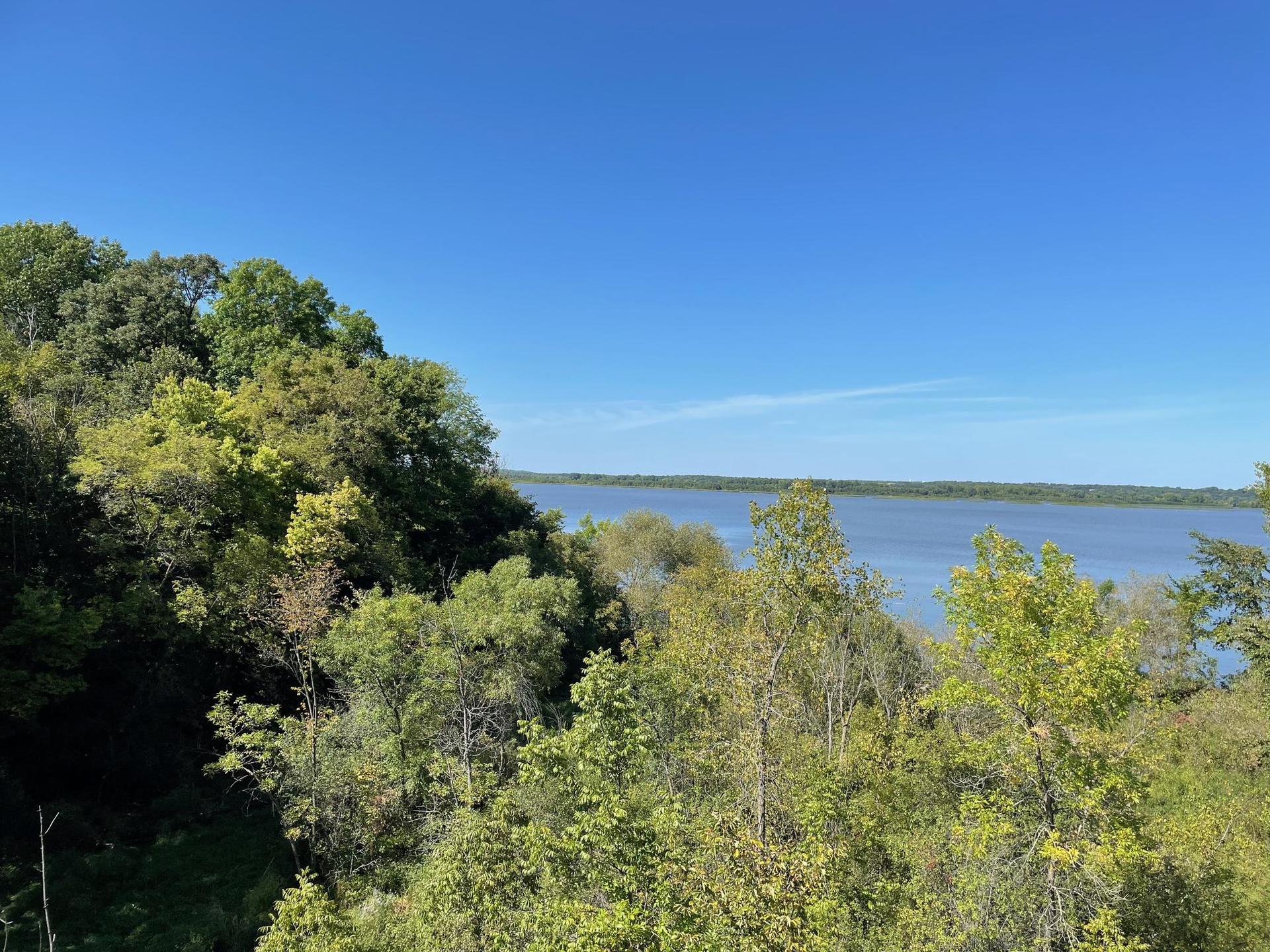 Bright sunny view of a wide river through green treetops.