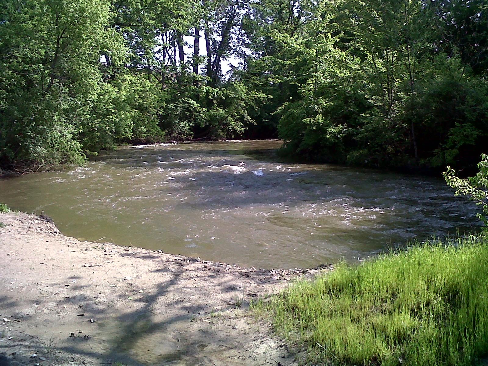 A winding river with green trees and a sandy bank on a sunny day.