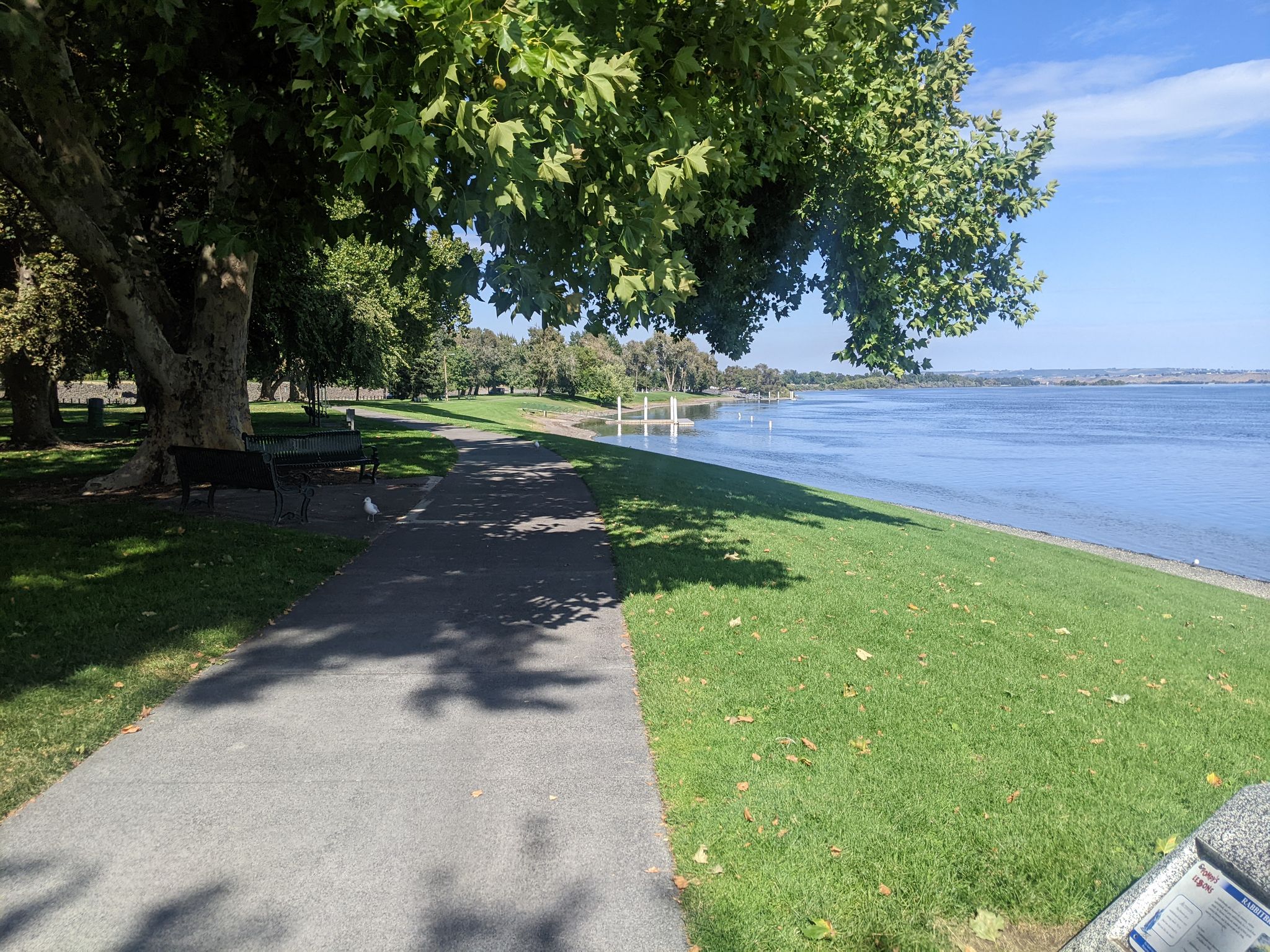 Shaded paved path alongside a grassy bank and a wide body of water. - Columbia Point Marina Park – Columbia Point Marina Park loop from Richland Bend