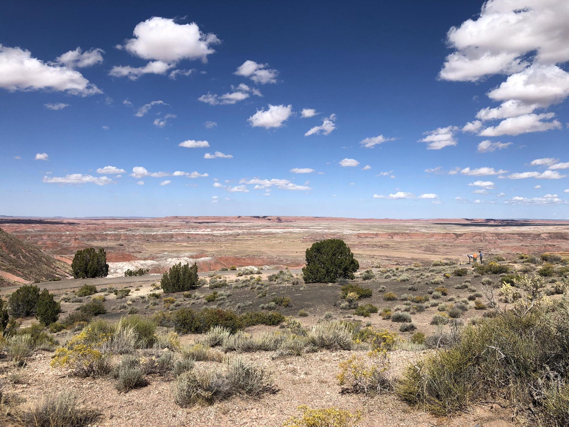 Wide desert vista with scattered green shrubs under a bright blue sky.