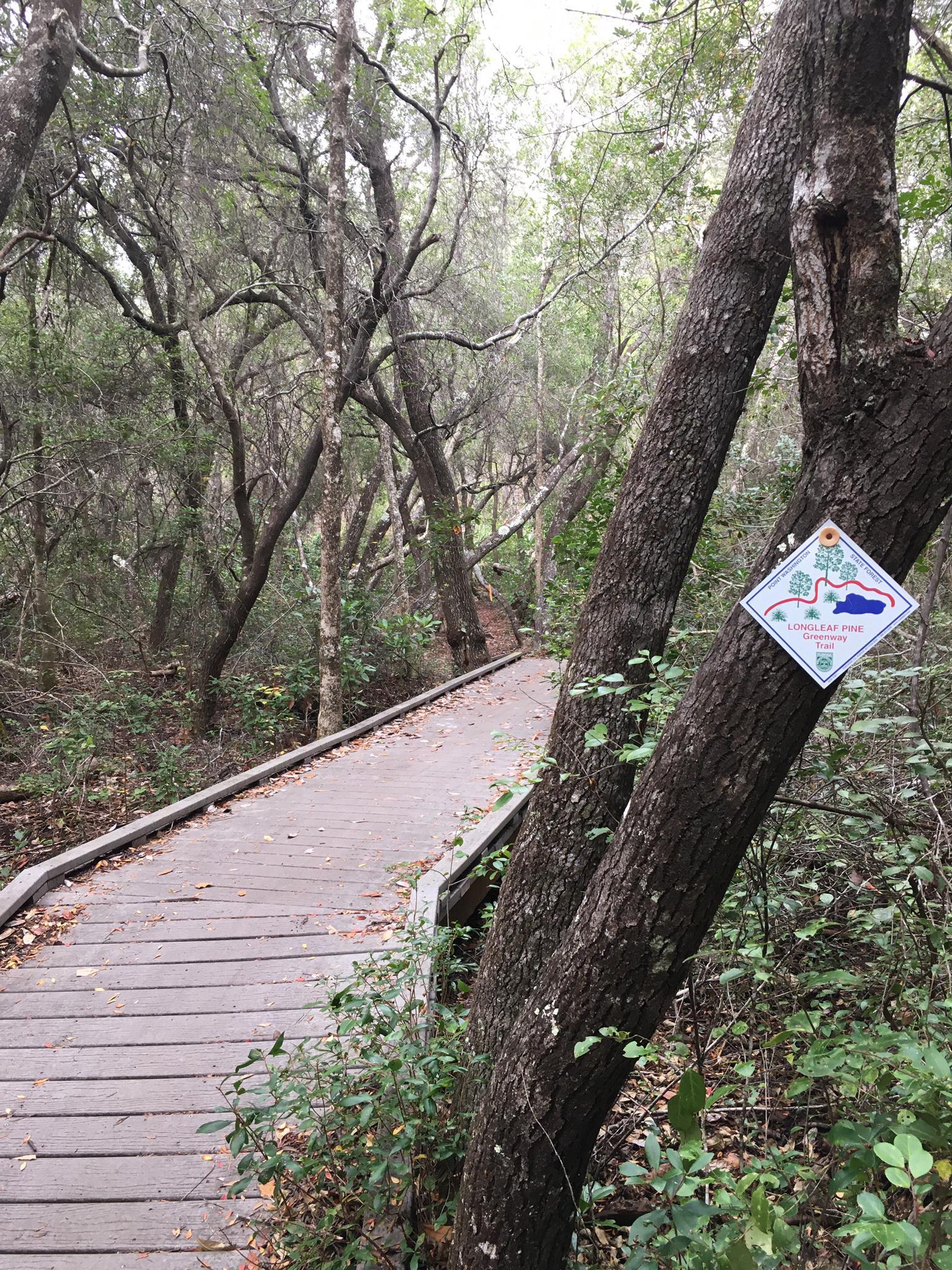 Wooden boardwalk winding through a dense, green forest with a trail marker.