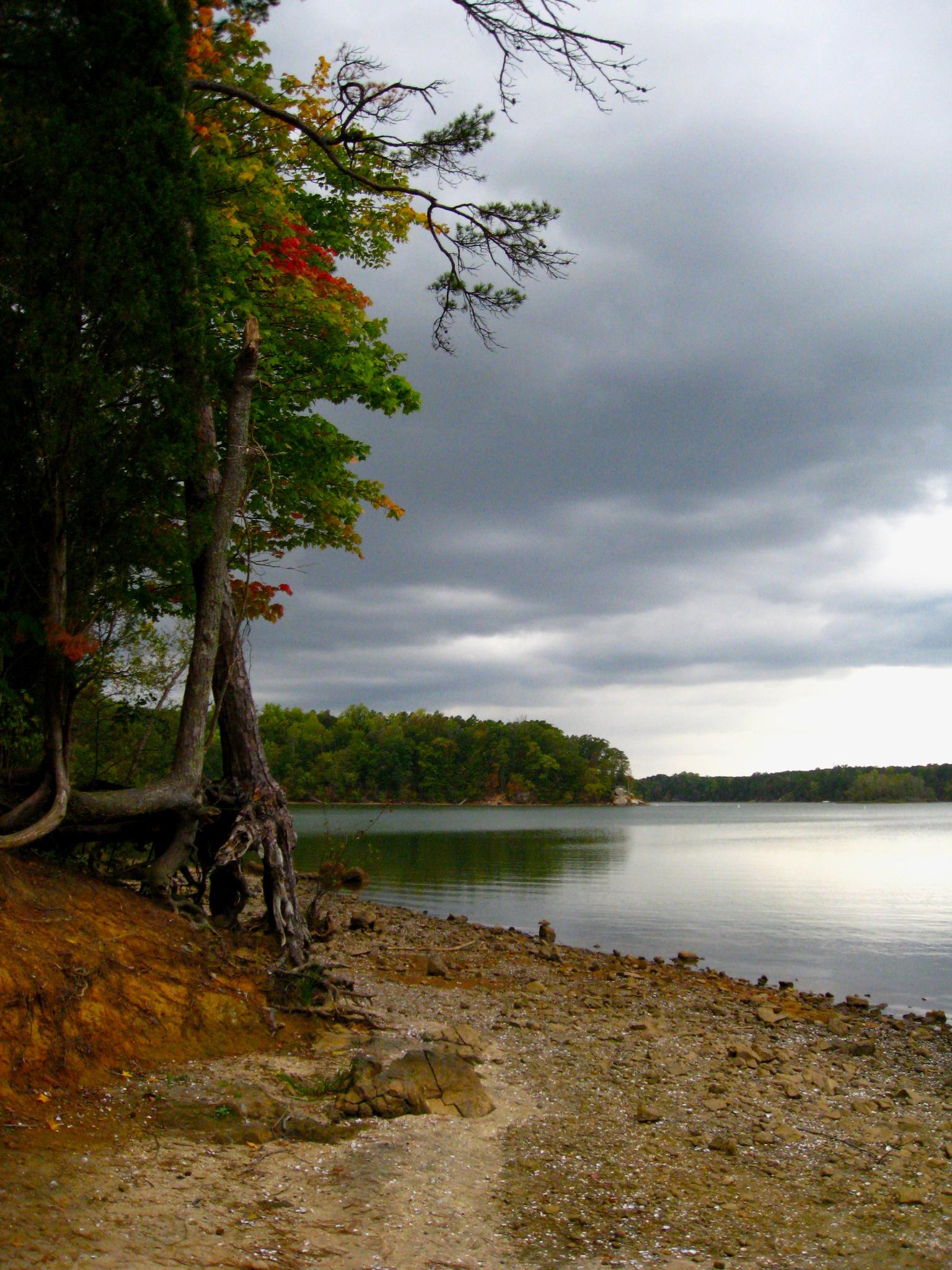 Overcast sky above a calm lake with a rocky shore and colorful autumn trees.