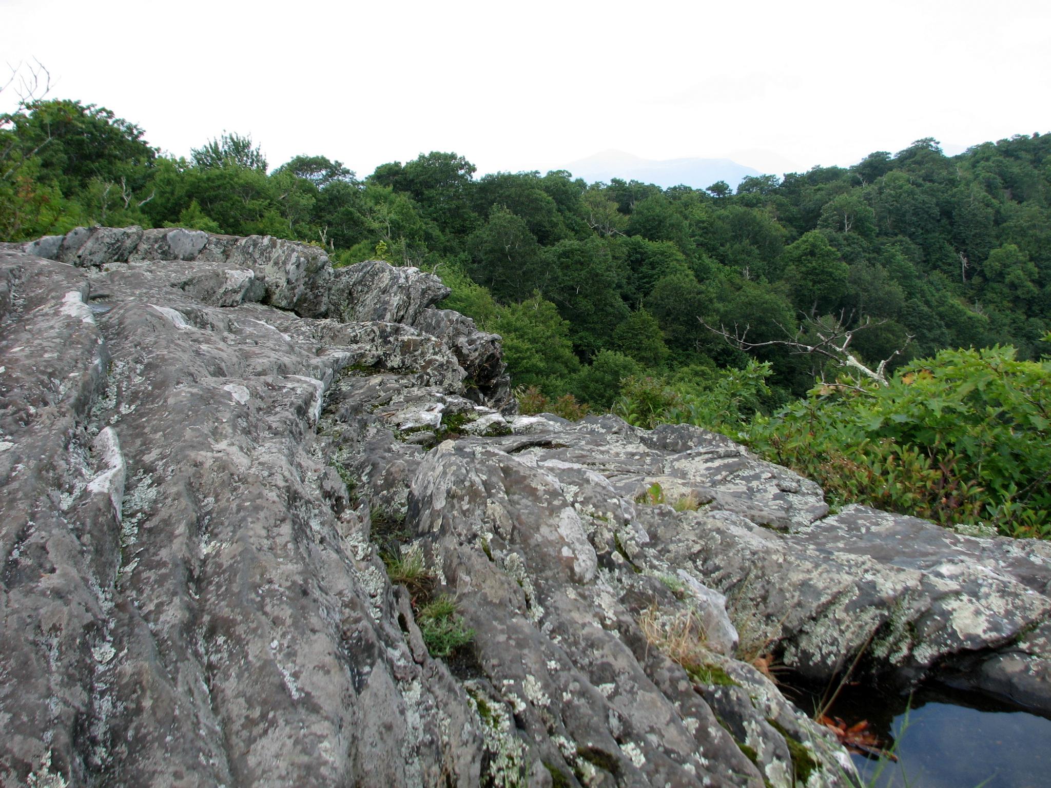 Jagged rock formations overlooking a dense green forest under an overcast sky.