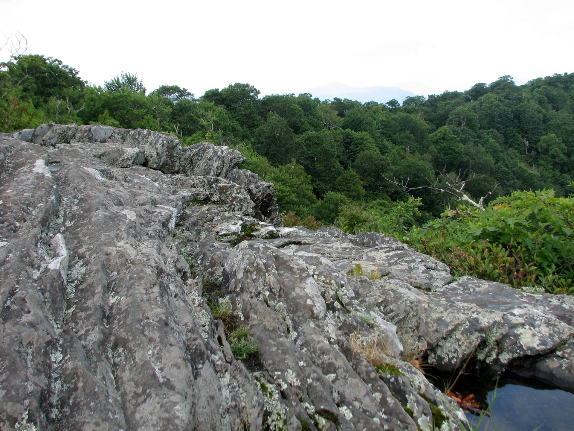 Jagged rock formations overlooking a dense green forest under an overcast sky.