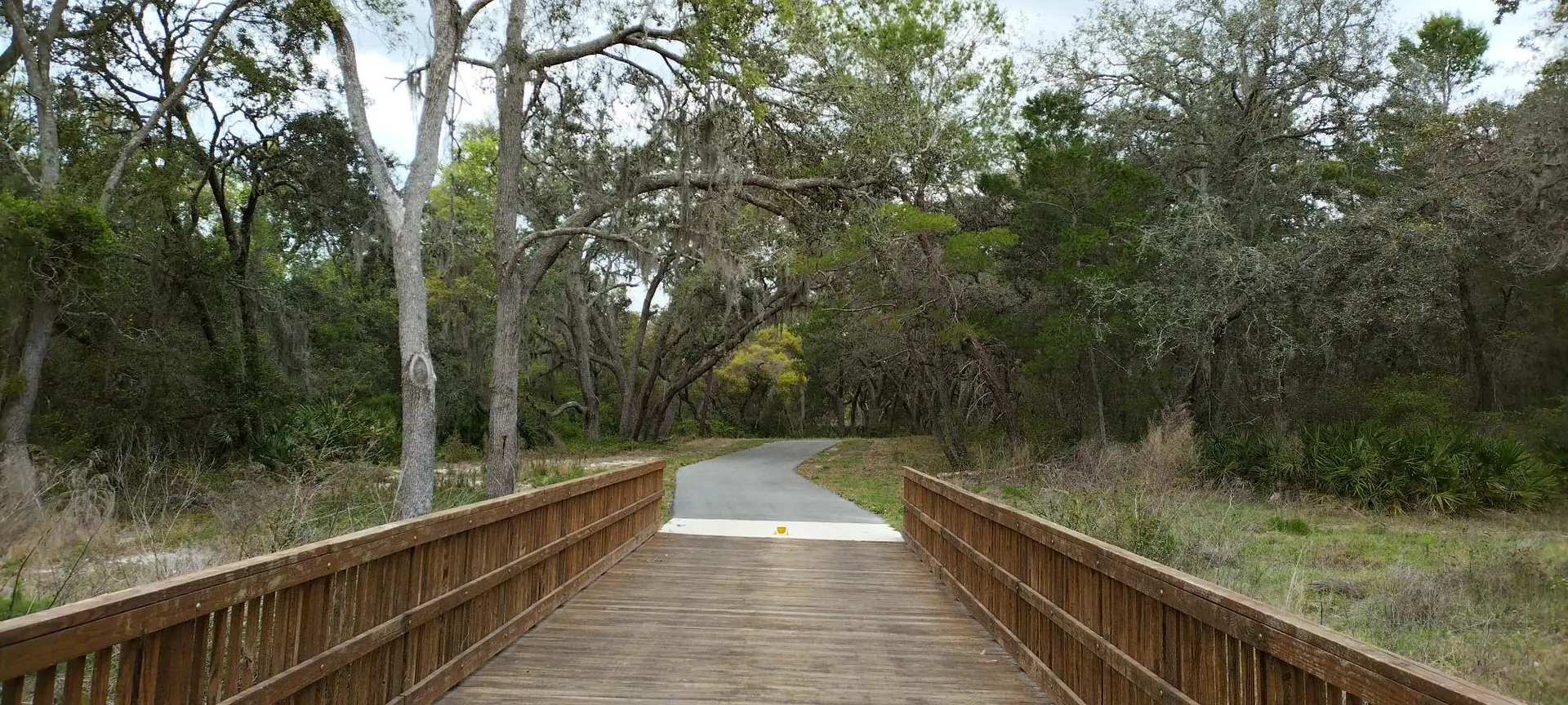 Wooden bridge leads to a winding paved path through a dense forest.