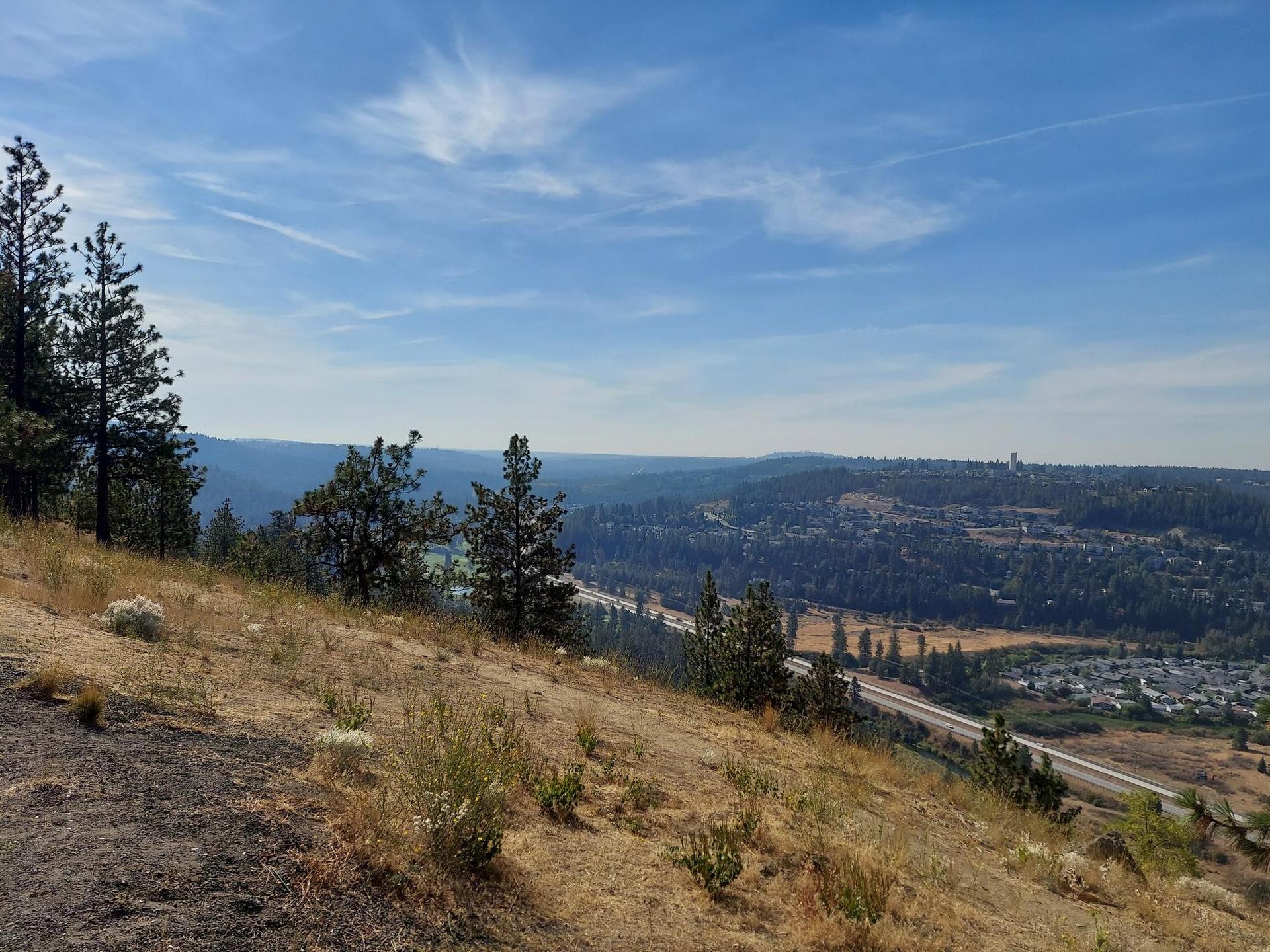 Expansive view from a dry hillside overlooking a forested valley and distant structures.