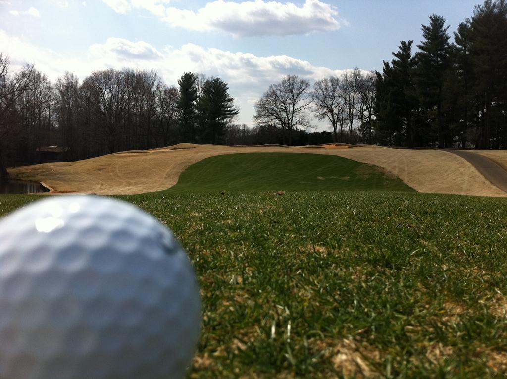 A golf ball in the foreground of a sunny golf course with bunkers and trees.