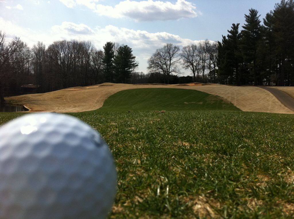 A golf ball in the foreground of a sunny golf course with bunkers and trees. - Tanglewood Park Mountain Bike Trails