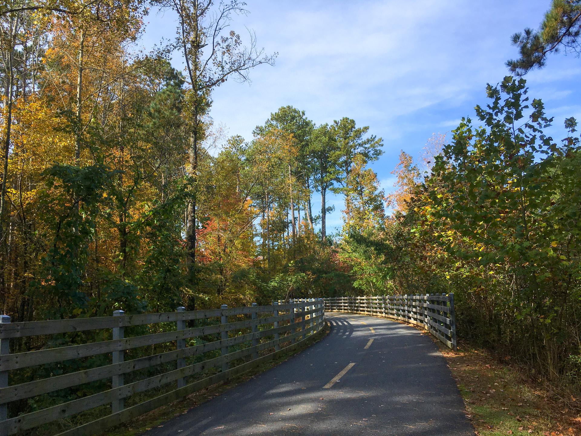 Sunny paved path with wooden fences surrounded by vibrant autumn trees.
