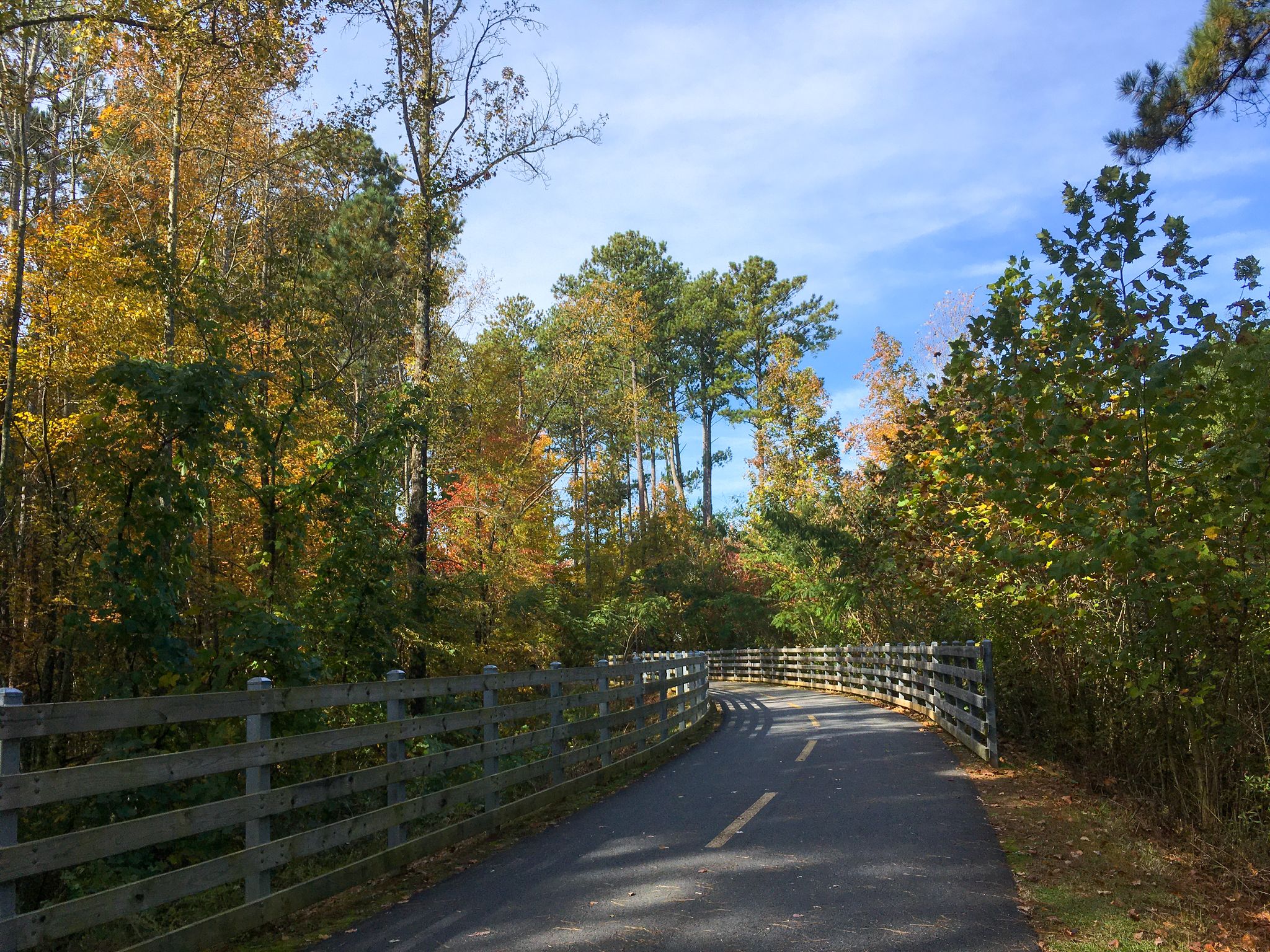 Sunny paved path with wooden fences surrounded by vibrant autumn trees. - Noonday Creek Trail