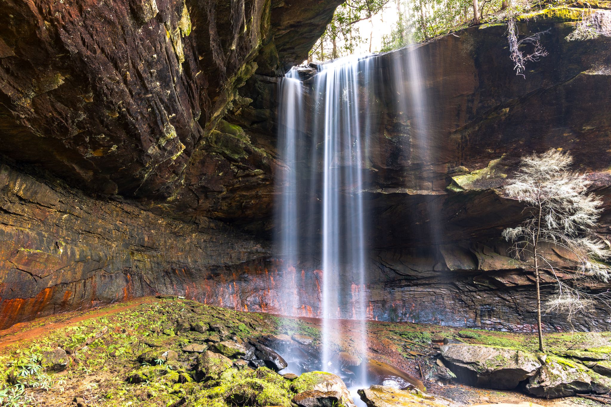 A tall waterfall plunges from a cliff into a mossy pool, brightly lit. - Lick Creek and Princess Falls Trail
