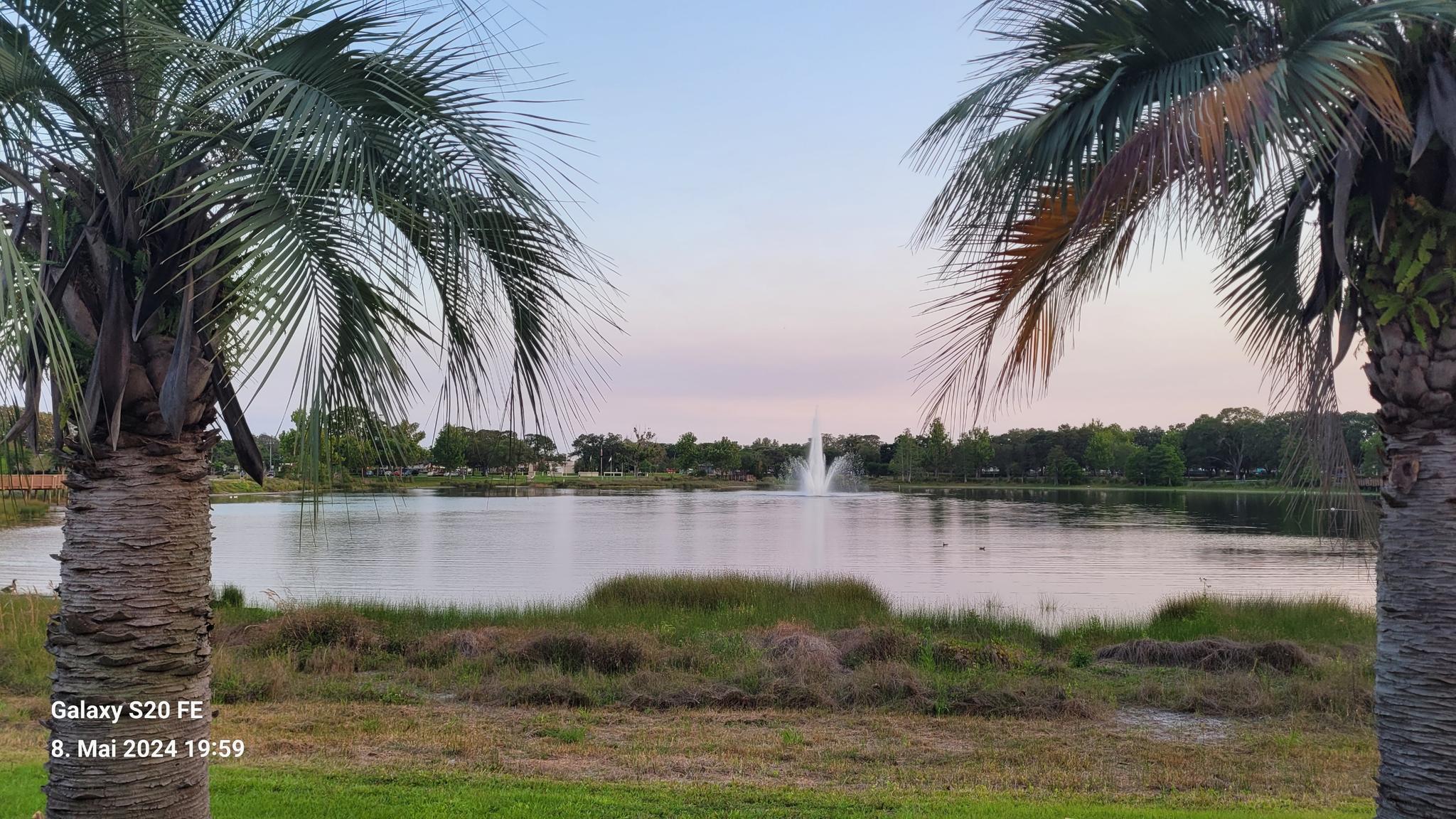 Lake with a fountain, framed by palm trees, under soft evening light.