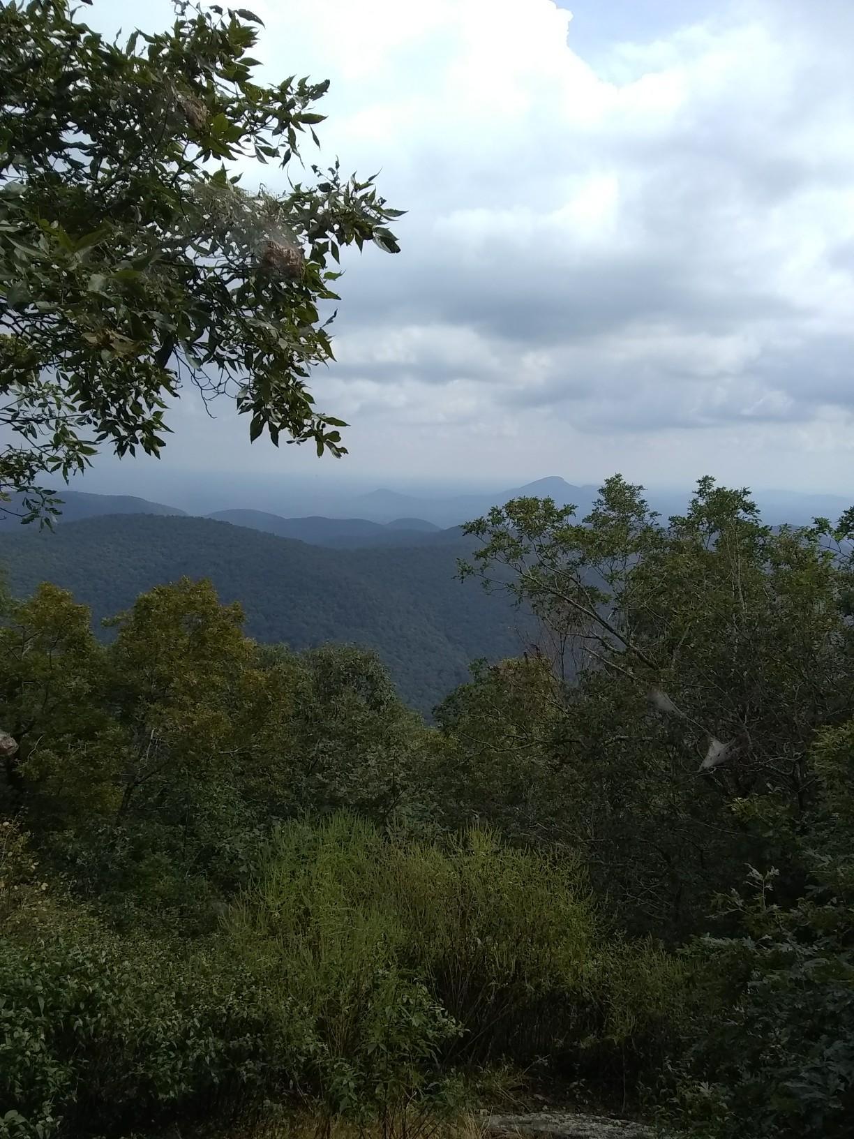Overcast view of rolling forested mountains with distant peaks.
