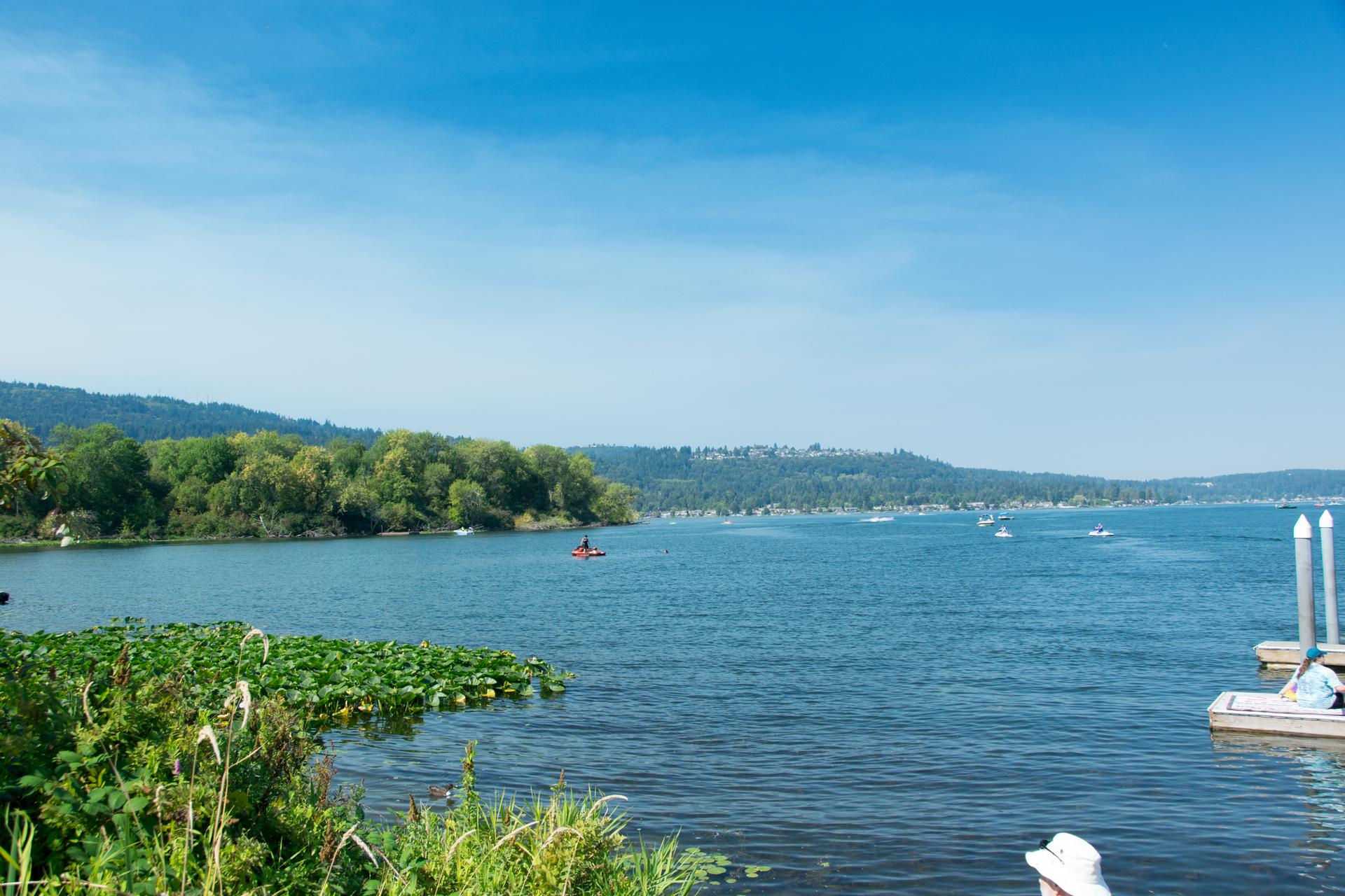 Bright daylight over a lake with boats, lily pads, and forested hills.