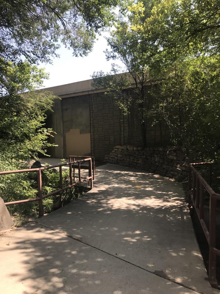 Concrete path with dappled sunlight leading to a building, surrounded by green trees.