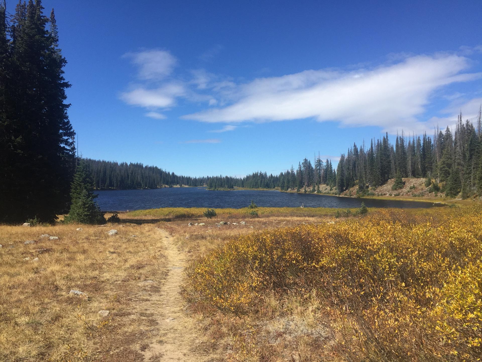 Dirt trail leading to a calm lake, surrounded by forest and autumn shrubs.