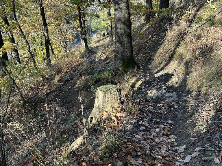 Steiler Aufstieg von der Eichleite zur Äppelbank: Wanderungen und ...