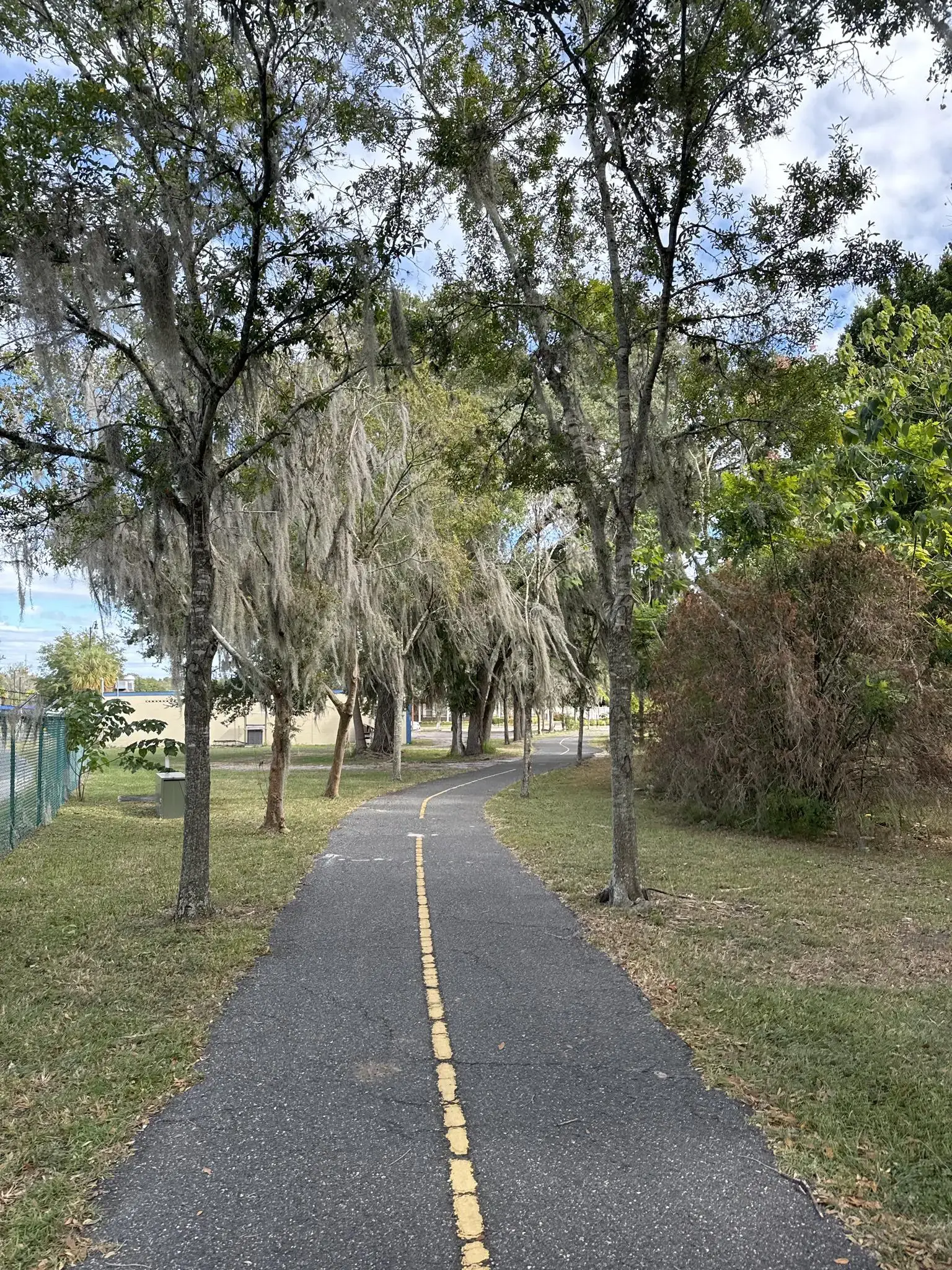 Paved path with yellow line, flanked by moss-draped trees.