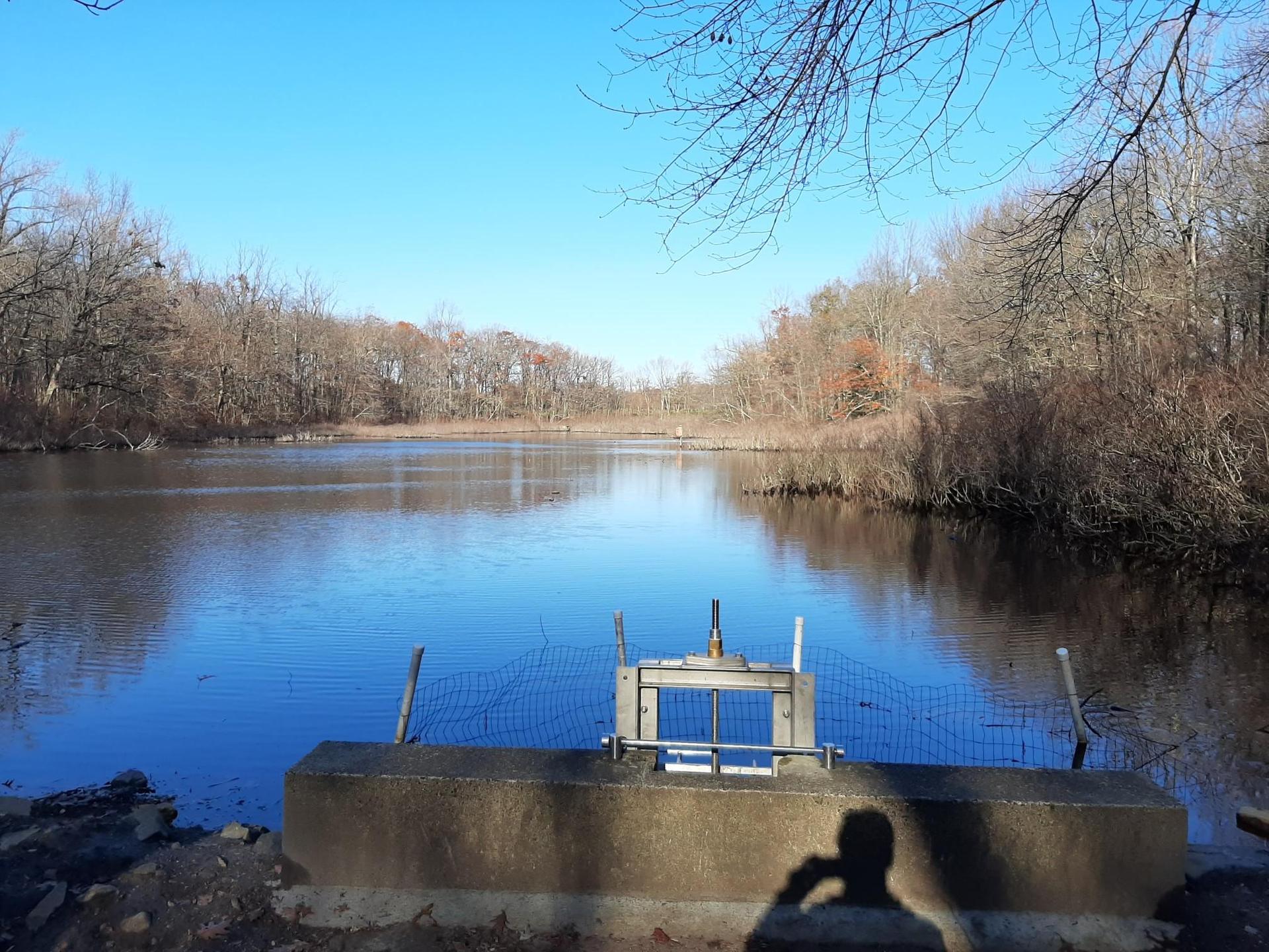 Sunny view of a lake with bare trees, a water gate, and a shadow.