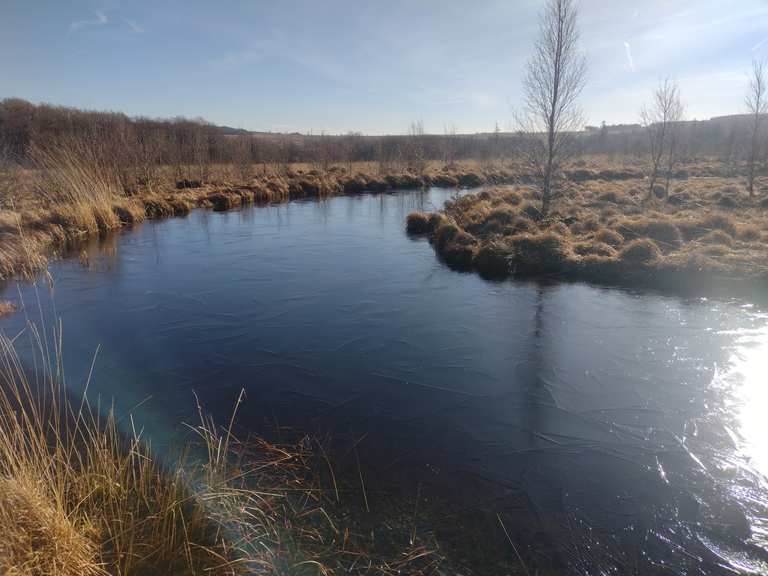 Moorauge/Palsen: Wanderungen und Rundwege | komoot