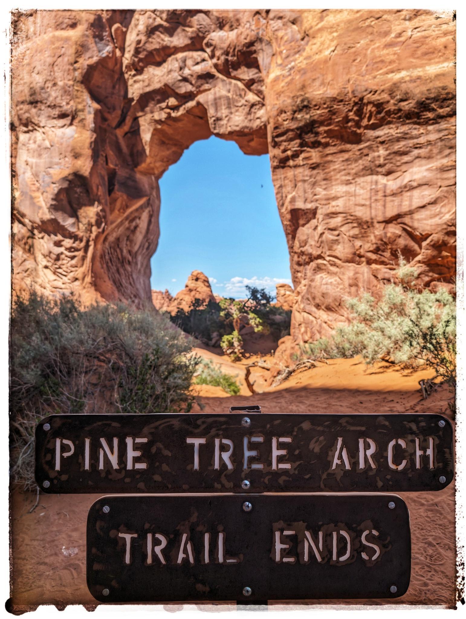 Natural rock arch frames a sunny desert landscape with trail signs.