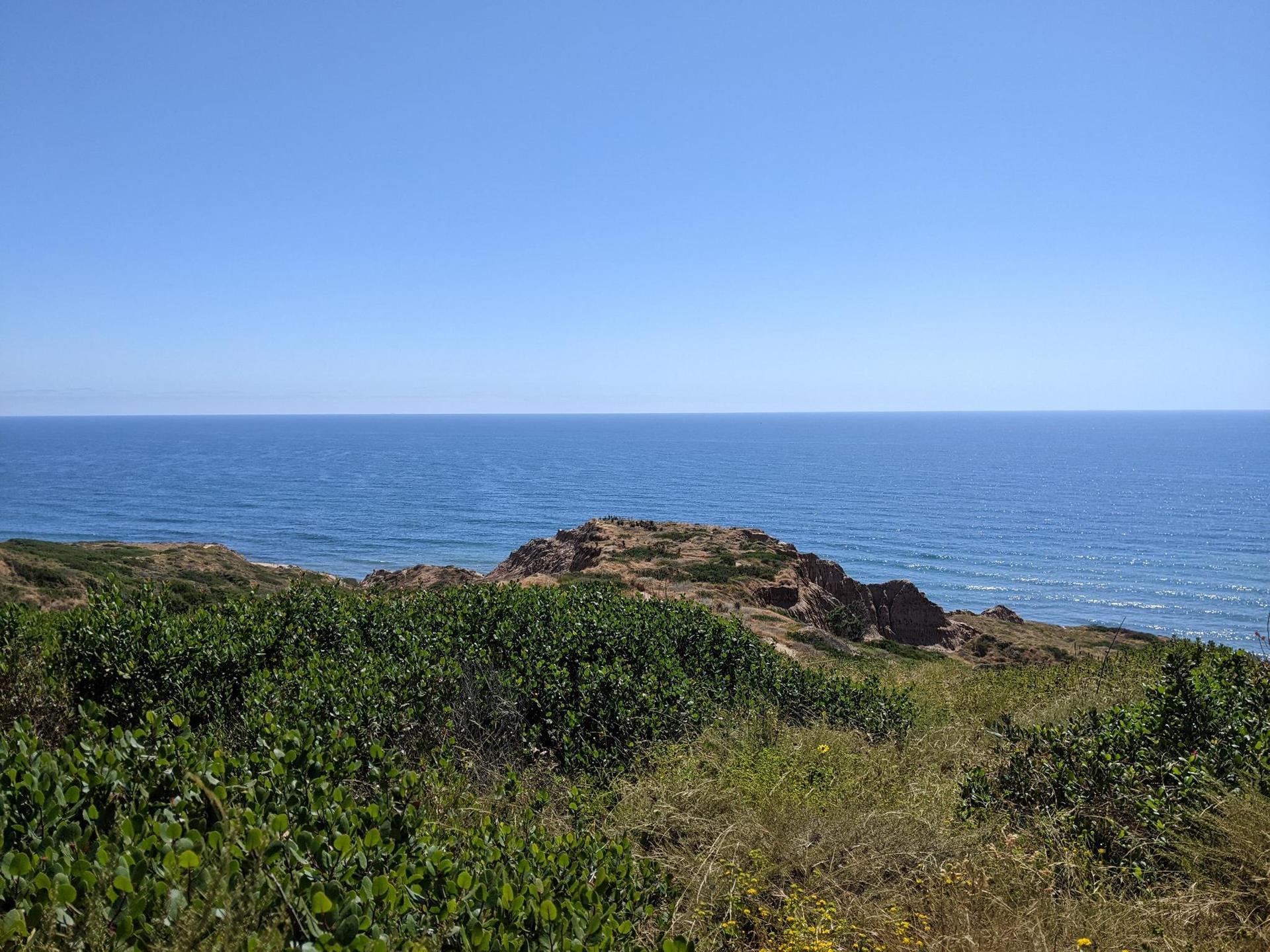 Vibrant blue ocean meets a green, rocky coastline under a clear, sunny sky.