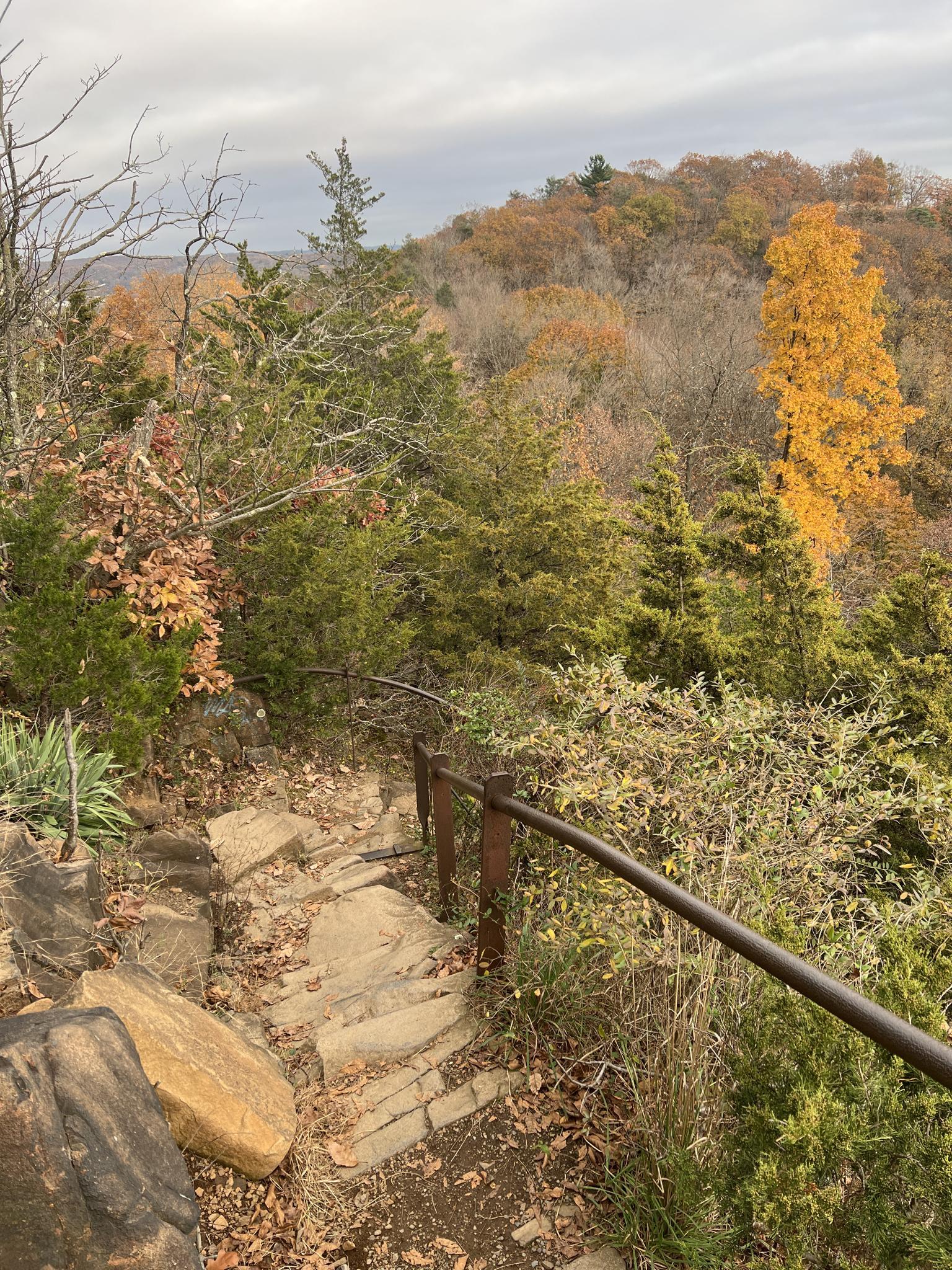 Rocky steps with a handrail overlooking a valley of autumn trees.