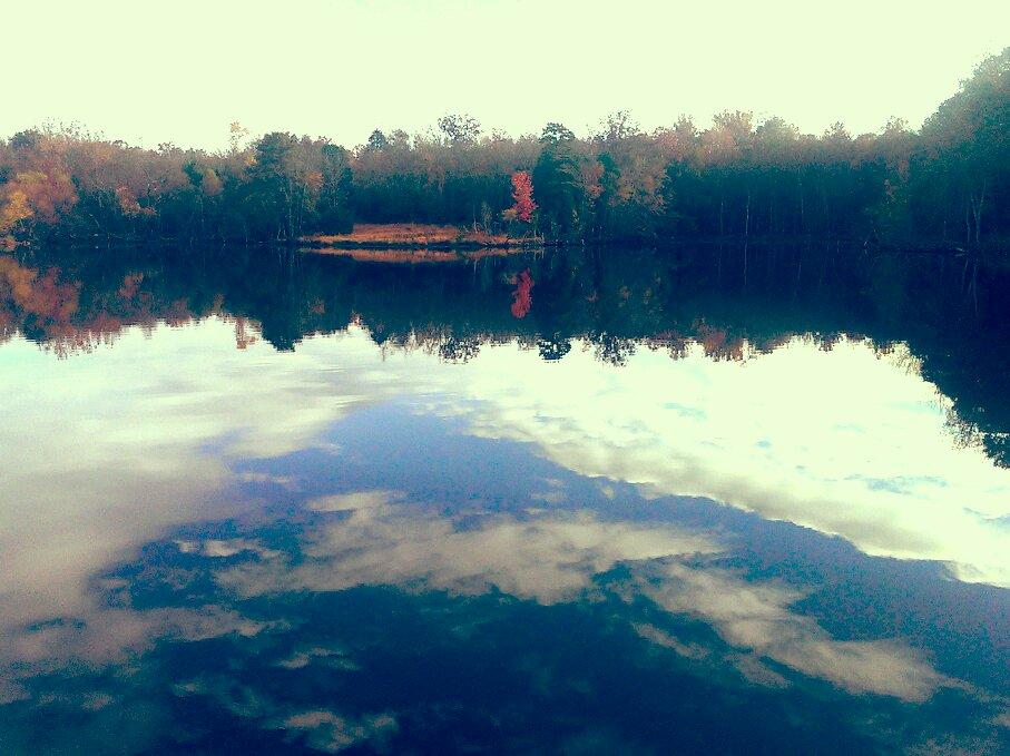 A calm lake reflecting a cloudy sky and distant autumn trees.