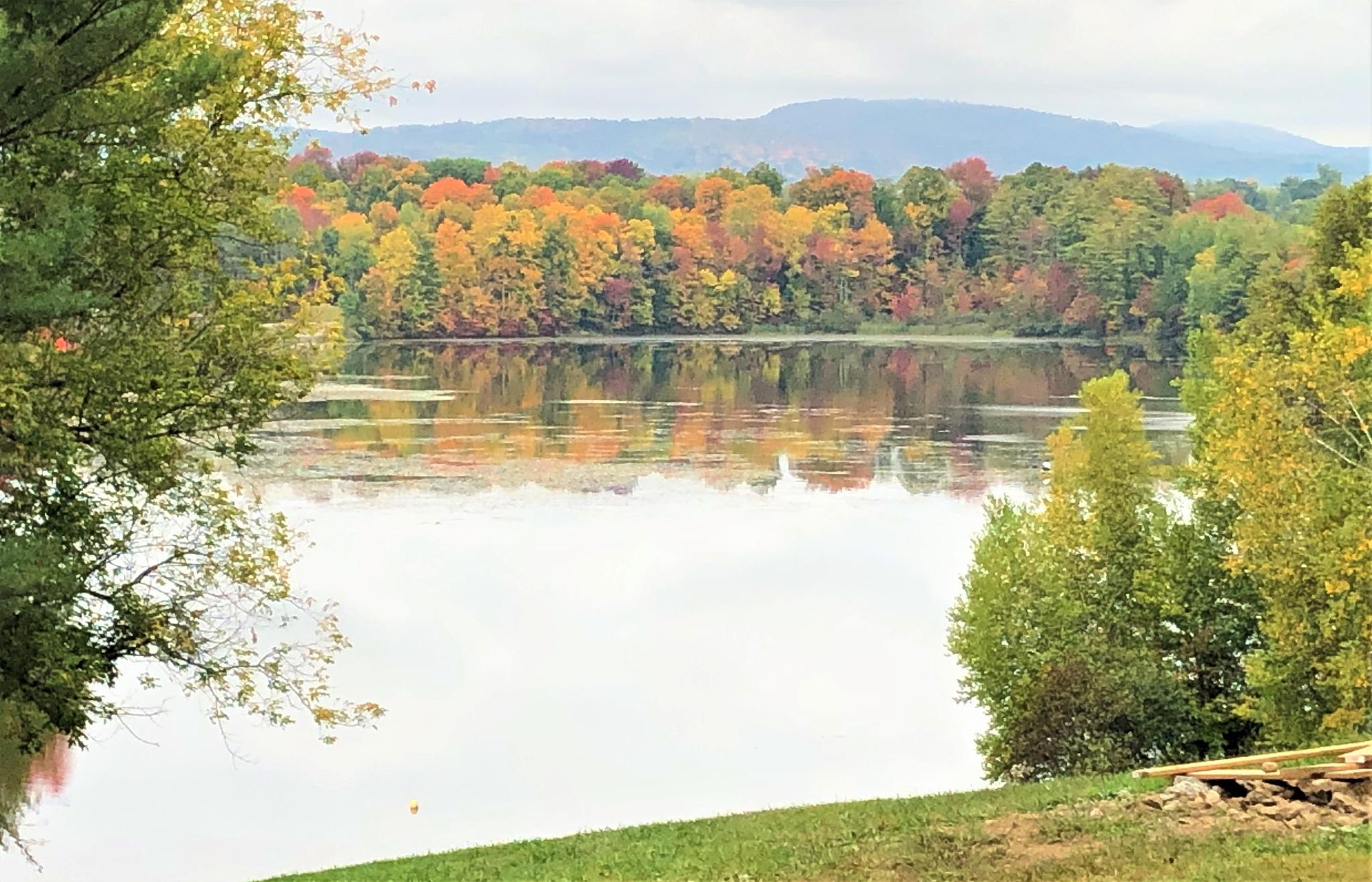 Calm lake reflecting vibrant autumn trees under an overcast sky.