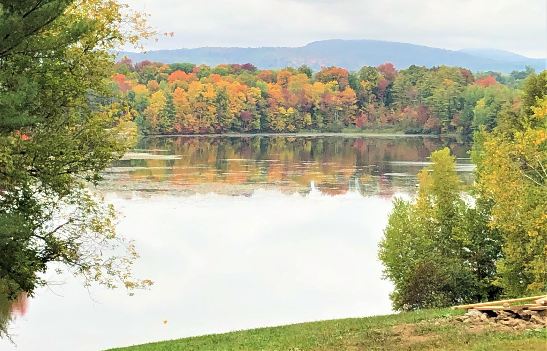 Calm lake reflecting vibrant autumn trees under an overcast sky.