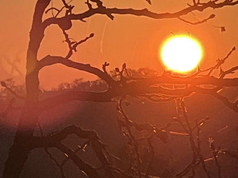 Sonnenuntergang Auf Dem Lohrberg: Wanderungen Und Rundwege 