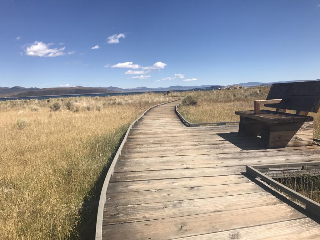 A wooden boardwalk curves through a sunny grassy field towards a distant lake.