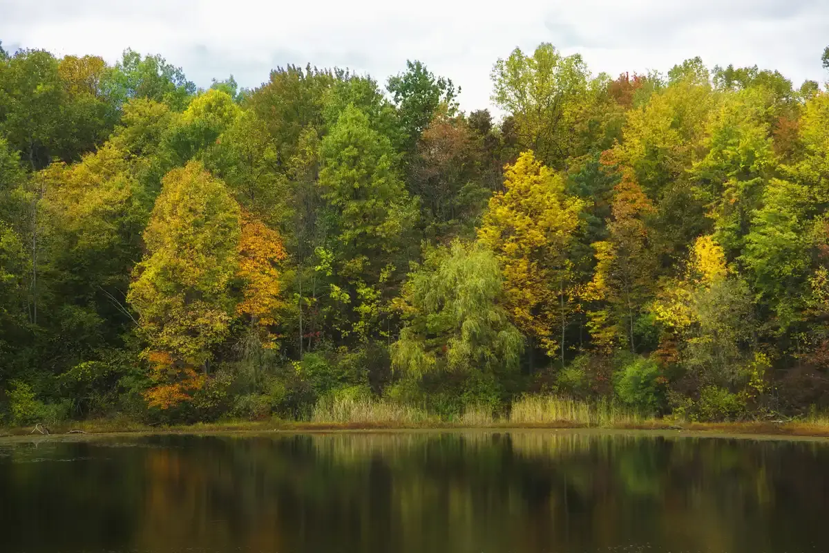 Calm water reflecting a vibrant autumn forest with green, yellow, and orange trees.