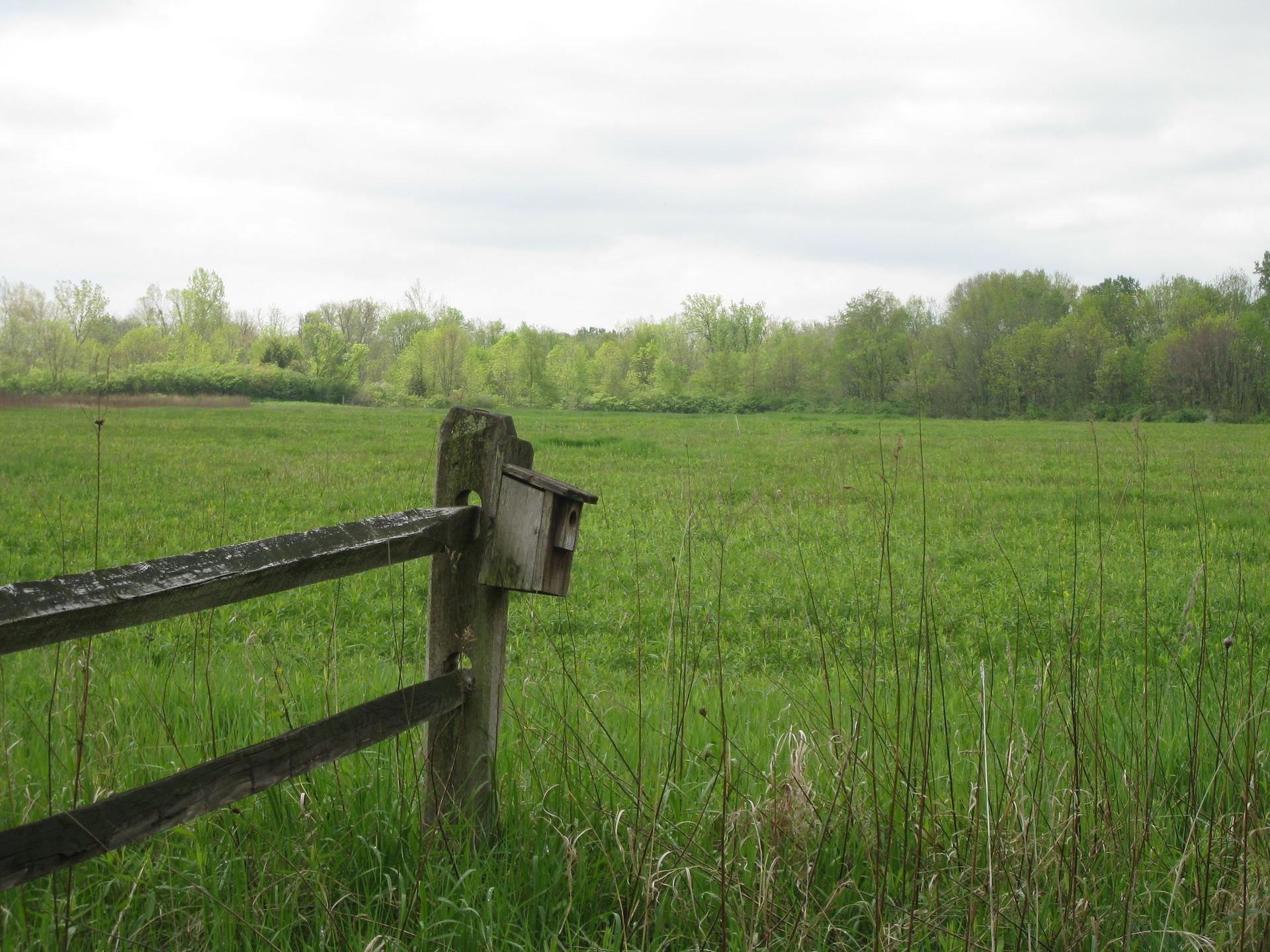 Wooden fence post with a birdhouse in a vast green field.