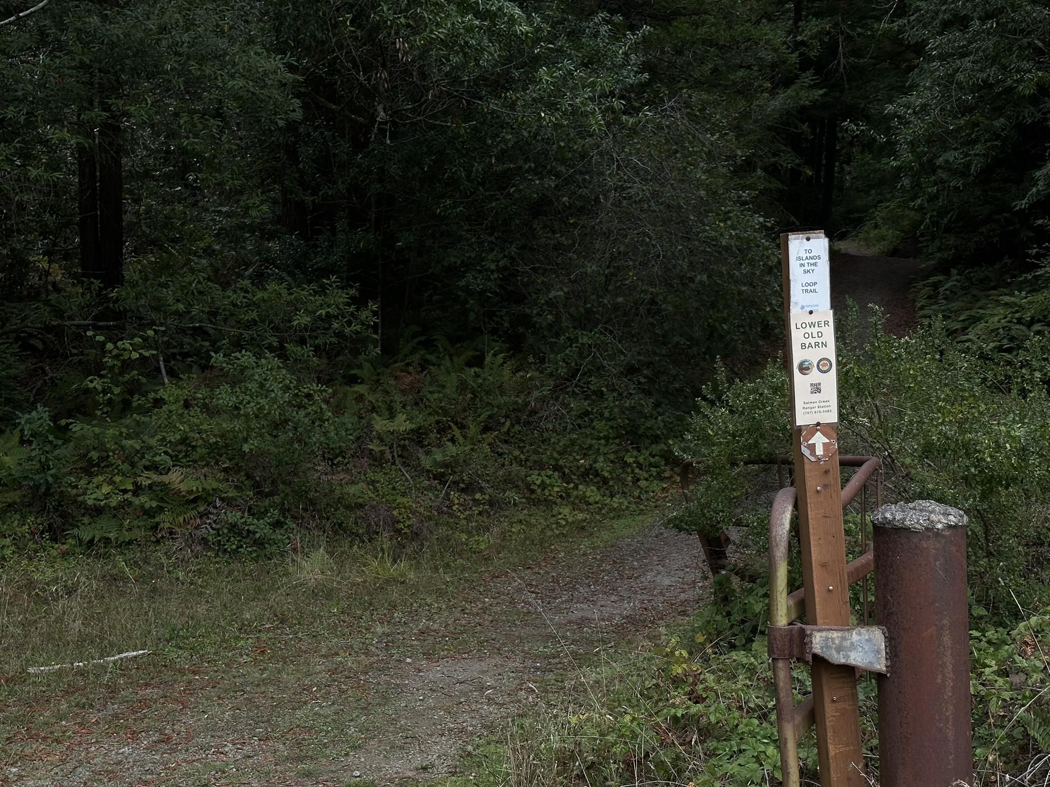 A dirt path leads into a dark, dense forest with a trail sign. - Willow Creek Fire Road loop from Campsite 4
