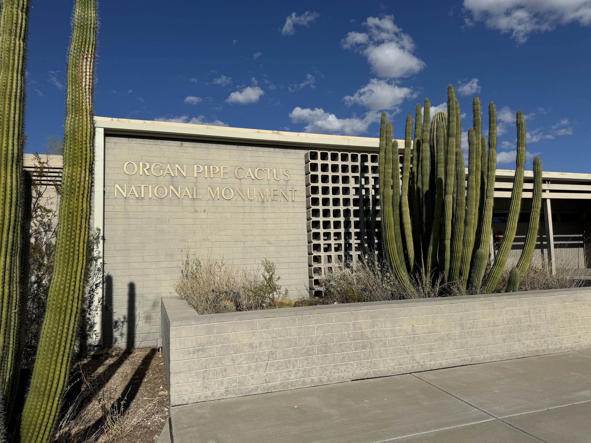 A modern building with large cacti under a bright, cloudy sky. - Victoria Mine Trailhead – Kris Eggle Visitor Center loop from Twin Peaks Campground