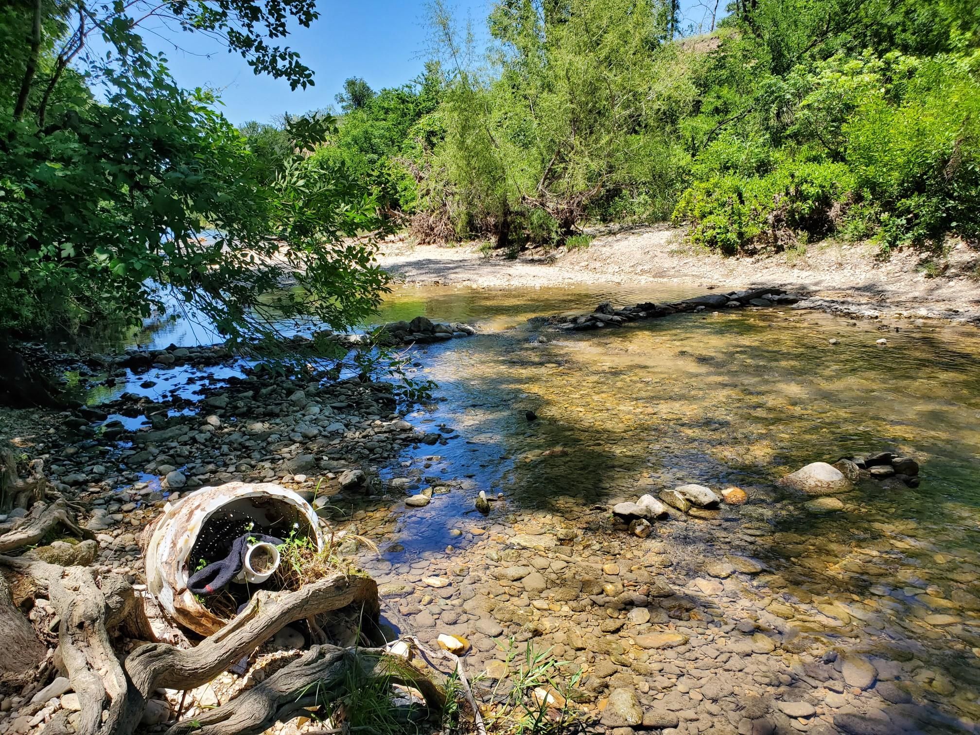 A shallow, clear stream flows over rocks under bright sunlight, surrounded by green banks. - Four Corner Loop