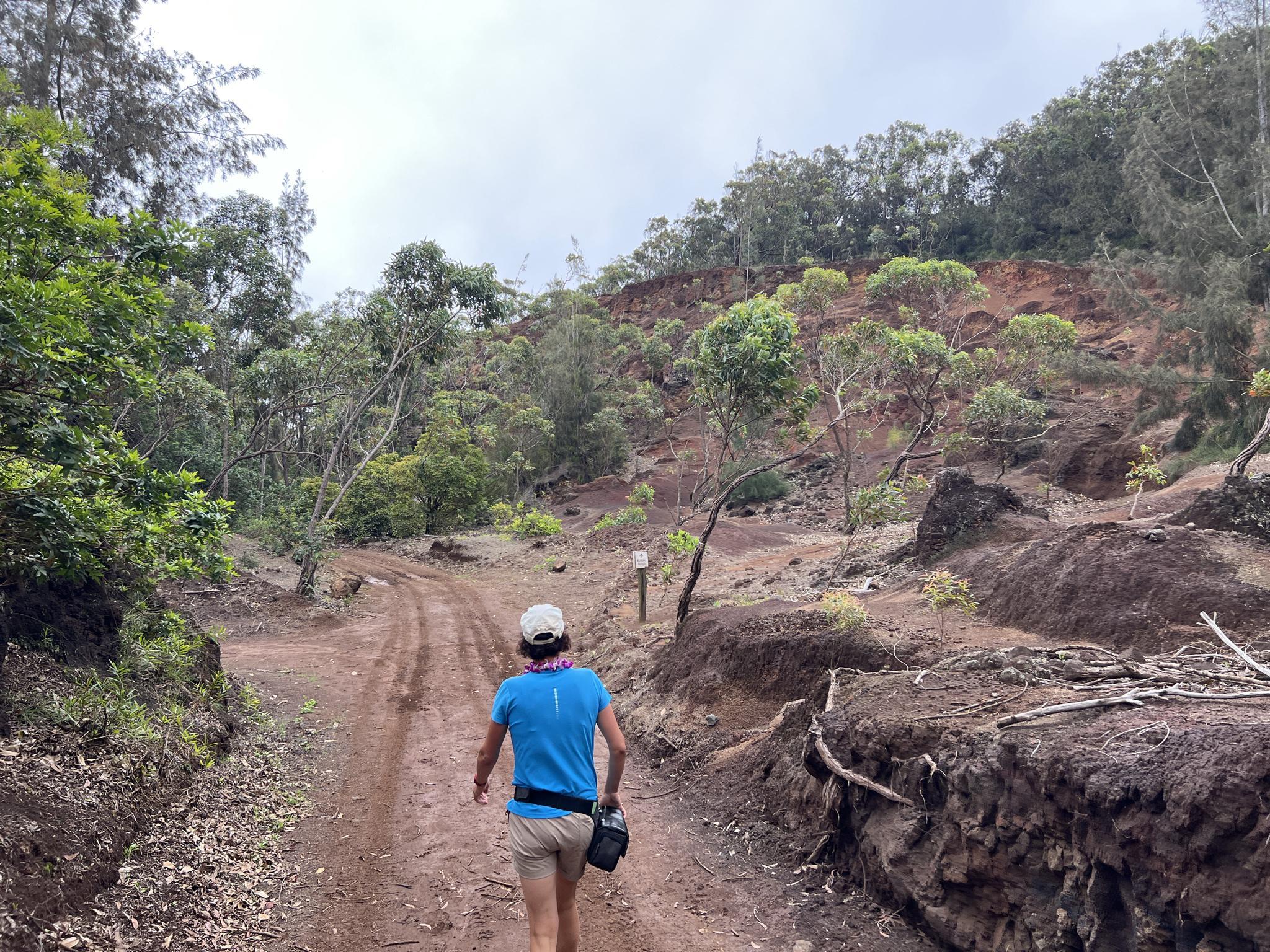 Person walks on a red dirt path through a hilly, partially forested landscape.