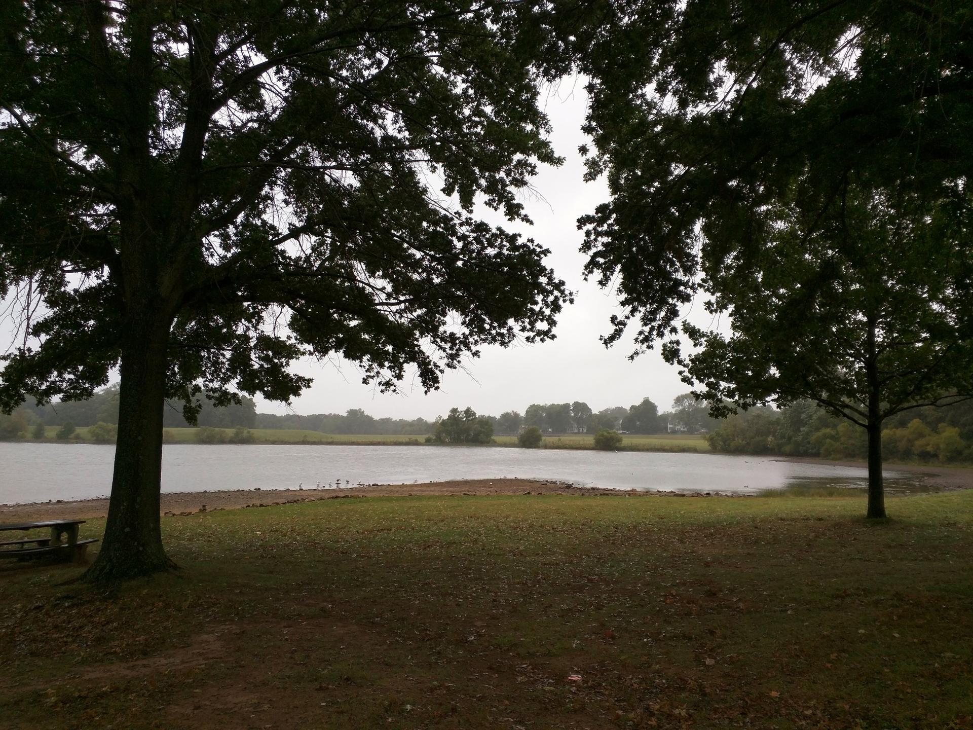 Overcast view of a lake through dark trees, with a grassy shore.