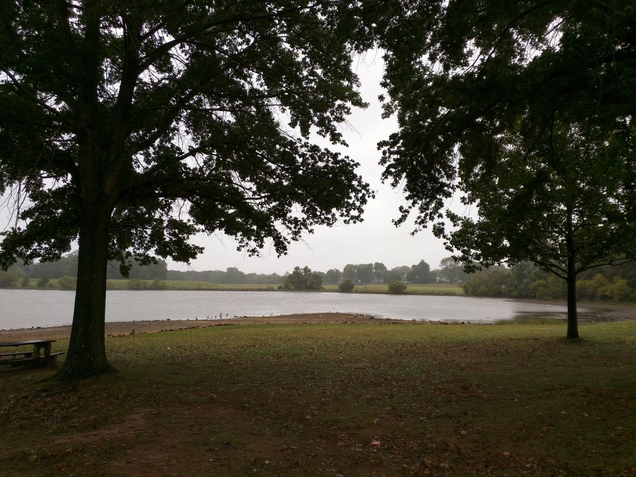 Overcast view of a lake through dark trees, with a grassy shore. - Core Creek Trail