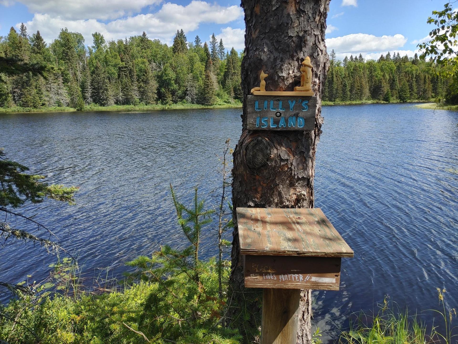 Wooden sign and box on a tree by a sunny lake and dense forest.